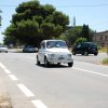 Montevago 2010 (486)